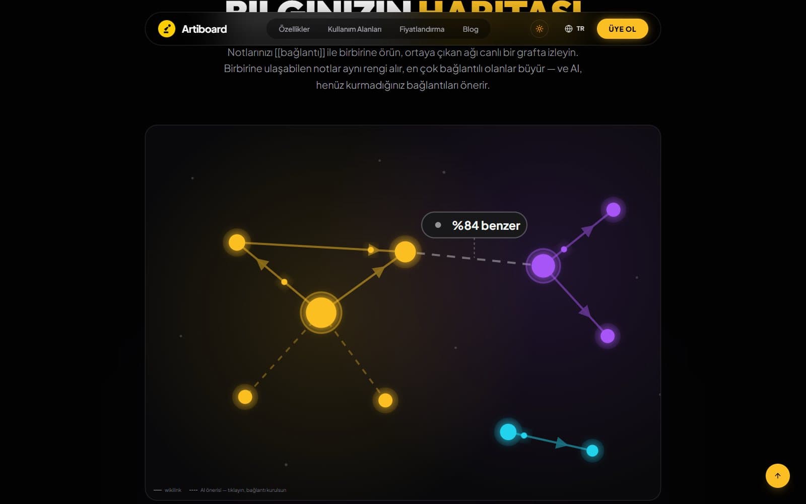 Bilgi grafiği bölümü — elle çizilen canlı SVG